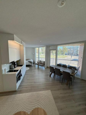 Luxury City Apartments, Valtakatu Sauna Apartment, Rovaniemi